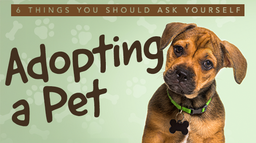 6 Things You Should Ask Yourself Before Adopting a Pet