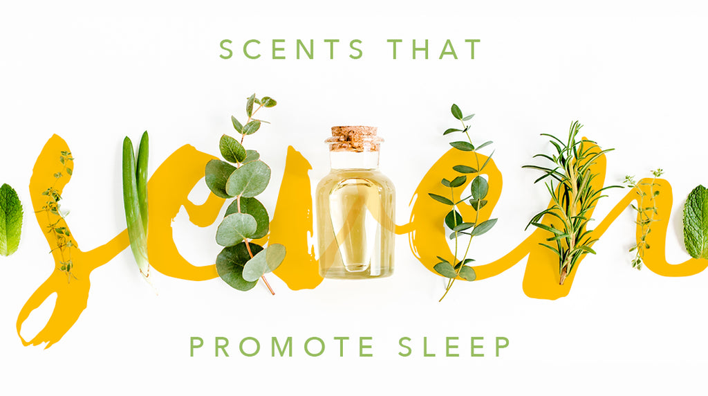 7 Scents That Promote Sleep