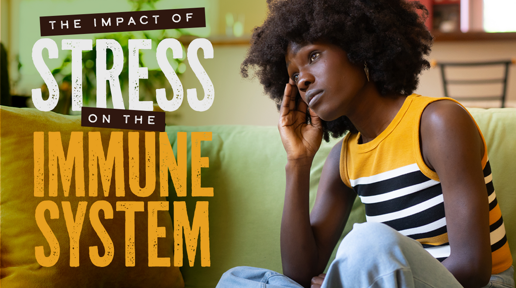 The Impact of Stress on the Immune System