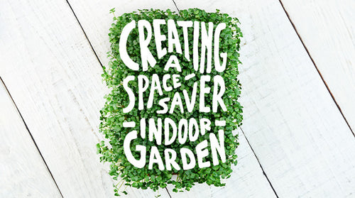 Creating a Space-Saver Indoor Garden