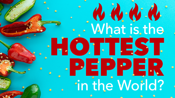 What's the Hottest Pepper in the World?