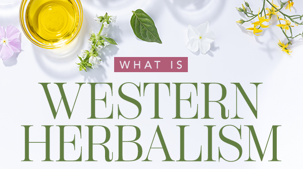 What Is Western Herbalism?