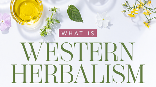 What Is Western Herbalism?