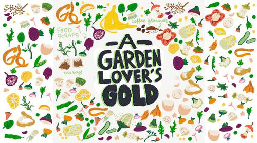 Compost: A Garden Lover’s Gold