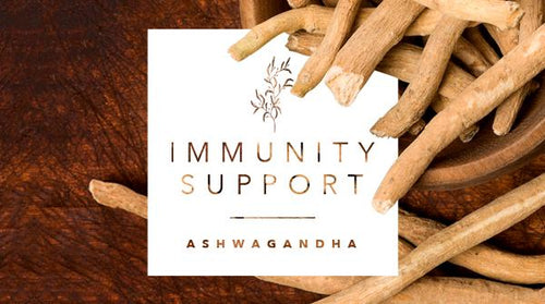 Immunity Support Focus: Ashwagandha