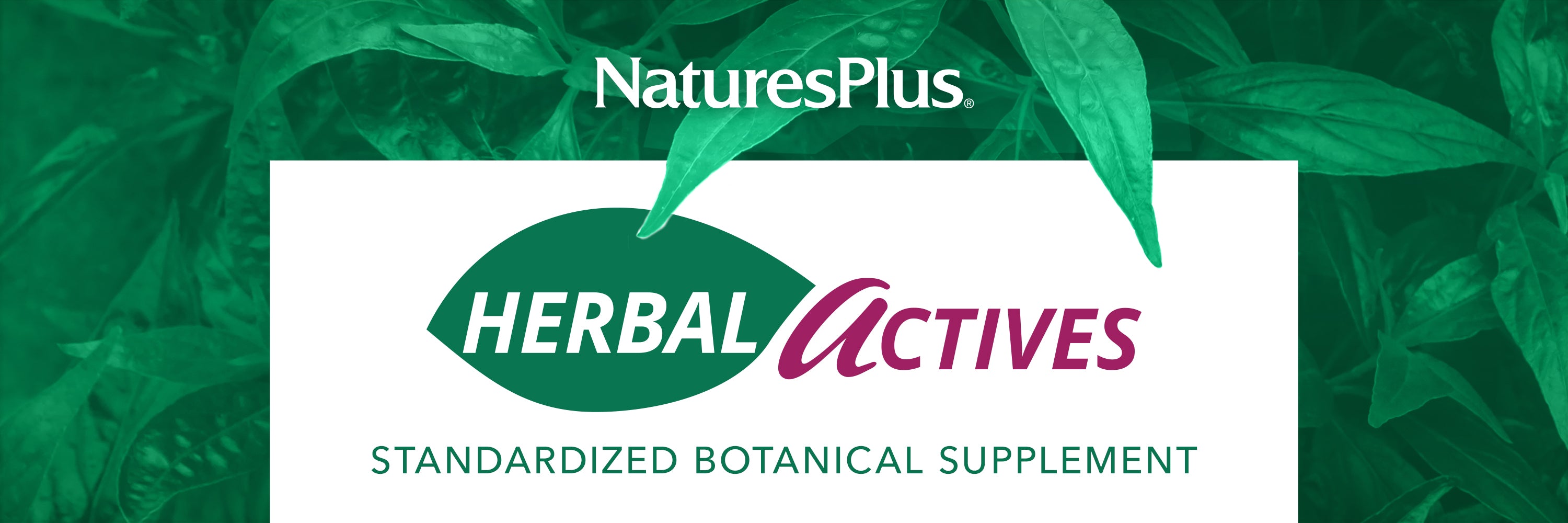 Herbal Actives collection image banner