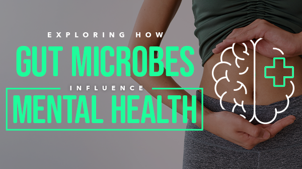 Exploring How Gut Microbes Influence Mental Health