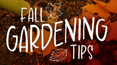 Fall Garden Tips