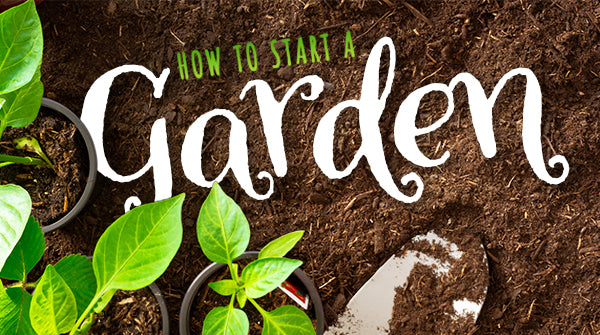 How to Start a Garden