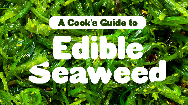 A Guide to Edible Seaweed: Types, Kelp, and Foraging Tips