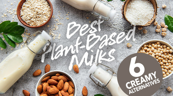 Best Plant-Based Milks: 6 Creamy Alternatives for Every Lifestyle | HEALTHY  LIVING