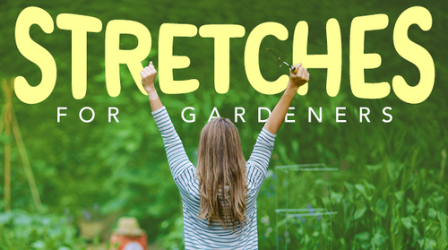 Stretches for Gardeners