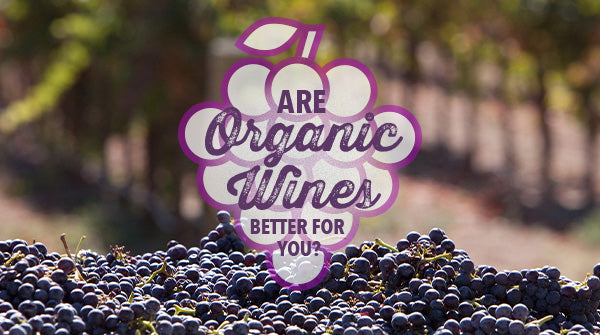 Are Organic Wines Better for You?