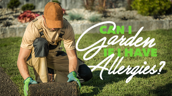 Can I Garden If I Have Allergies? article banner
