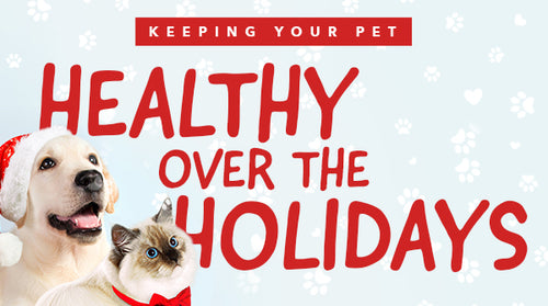 Keeping Your Pet Healthy Over the Holidays