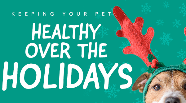 Keeping Your Pet Healthy Over the Holidays