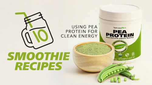 10 Smoothie Recipes Using Pea Protein for Clean Energy