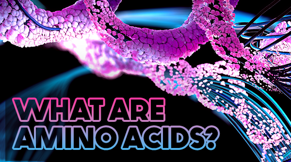 What Are Amino Acids? Essential Amino Acids and Their Food Sources