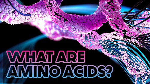 What Are Amino Acids?