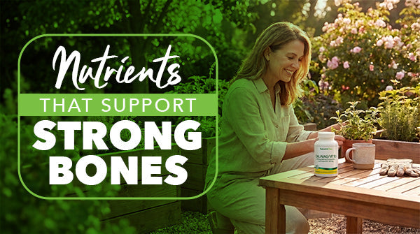 How to Choose the Best Osteoporosis Prevention Supplements for Your Needs