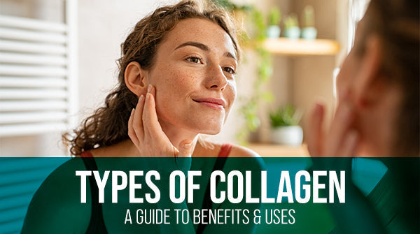 Types of Collagen: A Complete Guide to Their Benefits and Uses