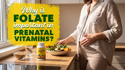 Prenatal Vitamins With Folate: What Every Mom Should Know