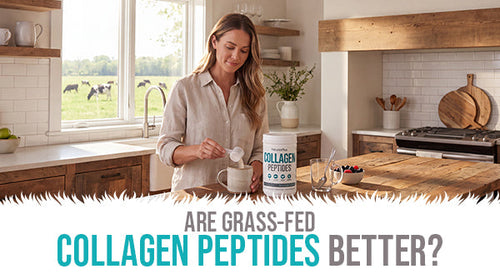 How Grass Fed Collagen Peptides Support Joint, Skin, and Gut Health