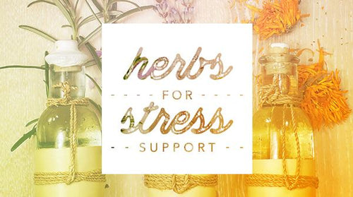 Herbs for Stress Support