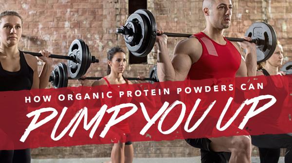 How Organic Protein Powders Can Pump You Up
