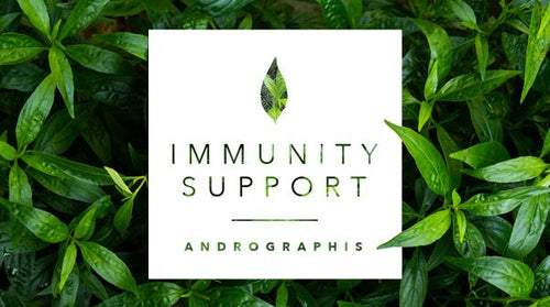 Immunity Support Focus: Andrographis