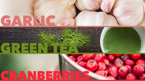 Kitchen Immunity: Garlic, Green Tea and Cranberry