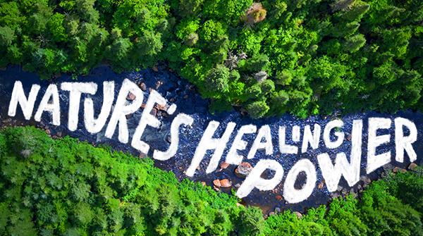 The Healing Power of Nature and How It Helps Us Heal