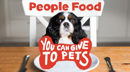 People Food You Can Give to Pets