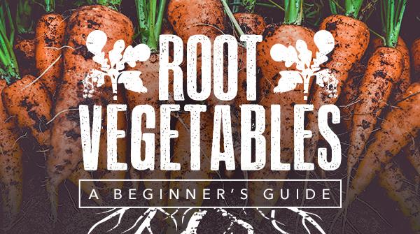 Root Vegetables: A Beginner's Guide