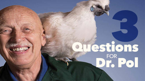 Three Questions for Dr. Pol