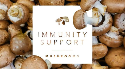 What Are the Best Mushrooms for Immunity?