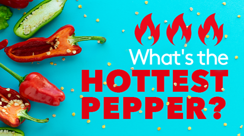 What's the Hottest Pepper?