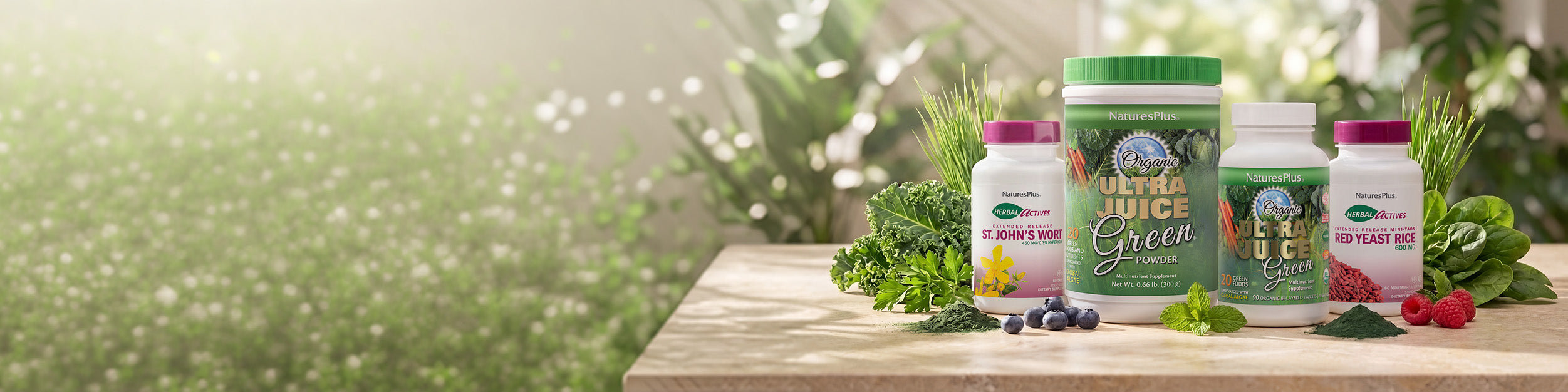 Superfood Greens & Botanicals