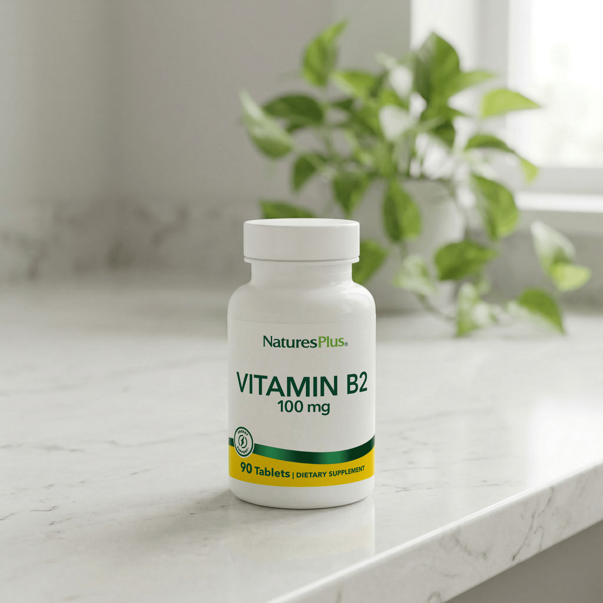 Vitamin B2 100 mg Tablets - 90 Count