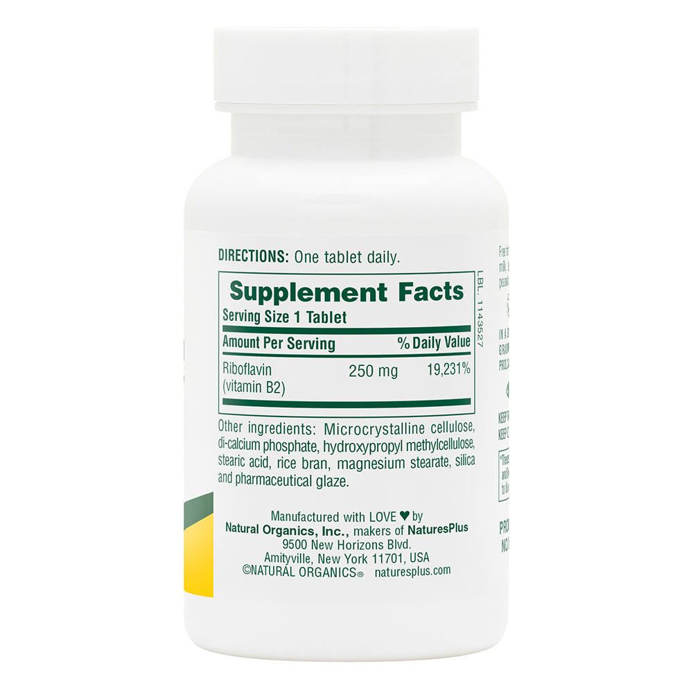 Vitamin B2 250 mg Sustained Release Tablets