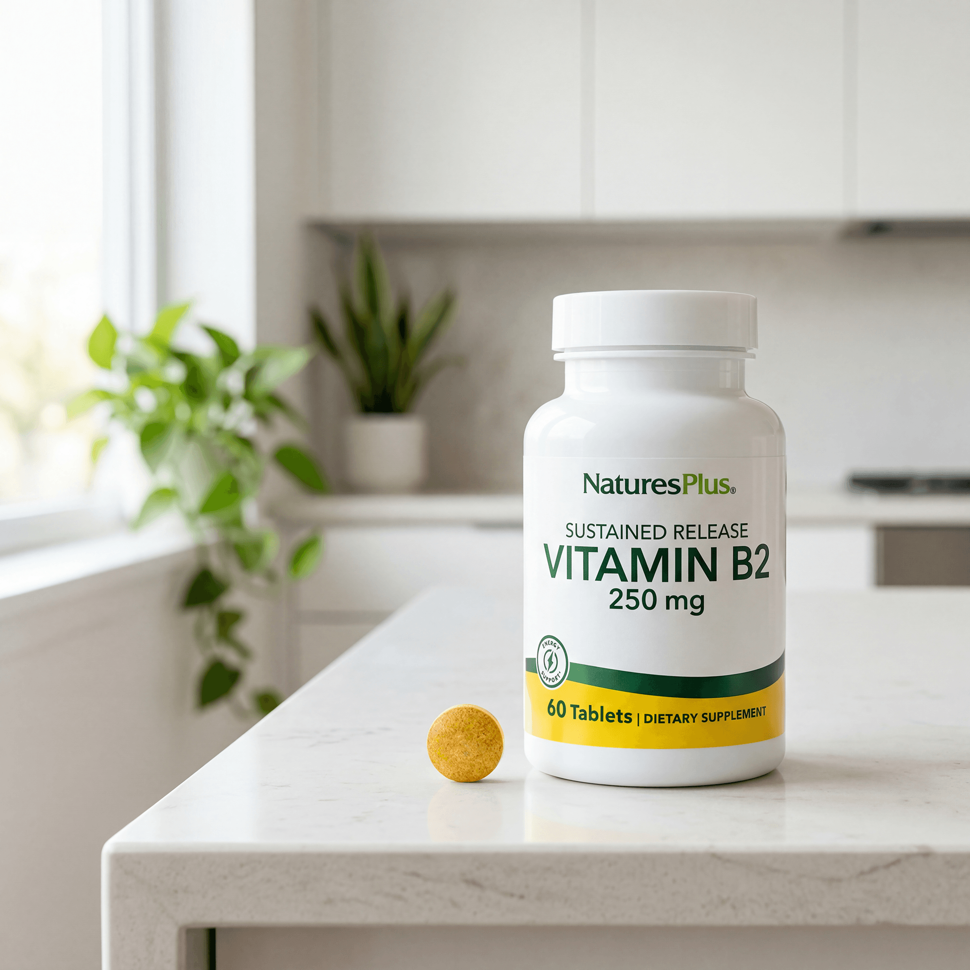 Vitamin B2 250 mg Sustained Release Tablets - 60 Count