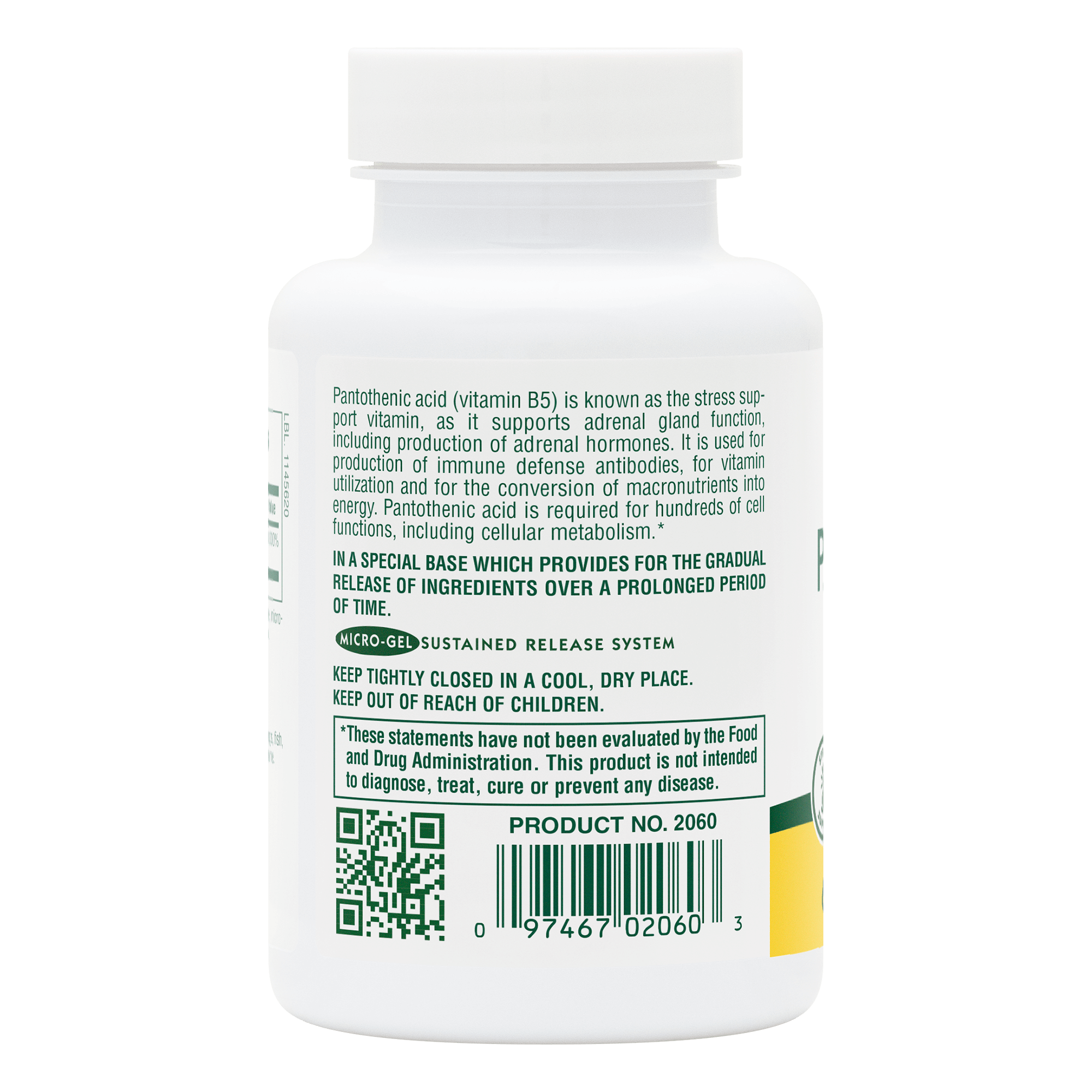 Pantothenic Acid 1000 mg Sustained Release Tablets - 60 Count