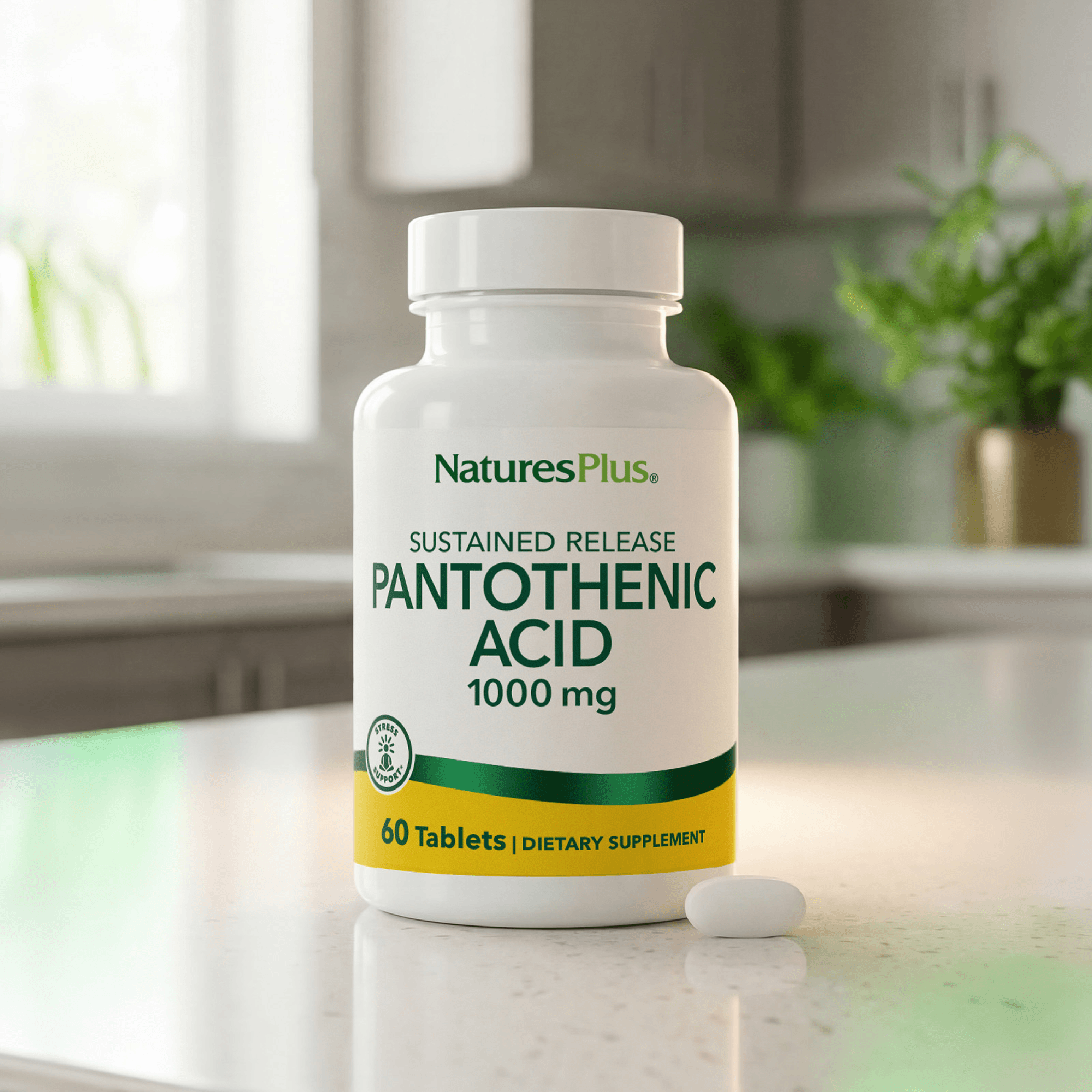 Pantothenic Acid 1000 mg Sustained Release Tablets - 60 Count