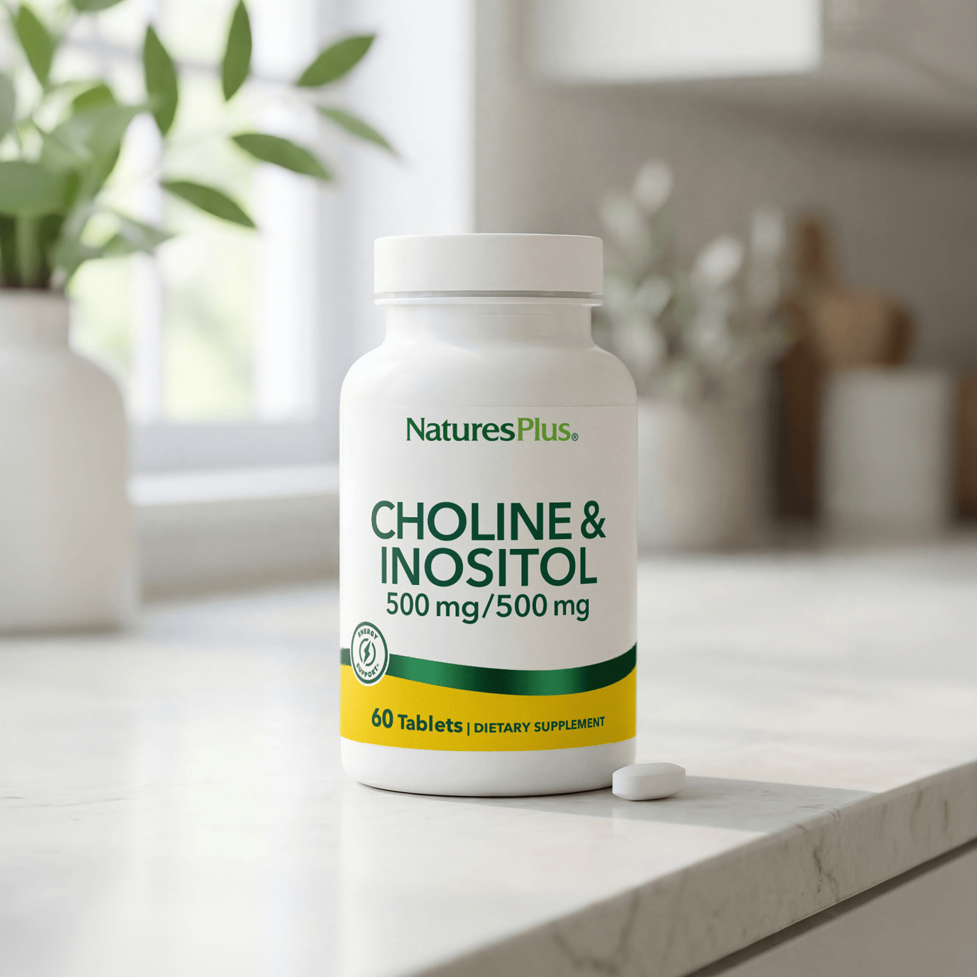 Choline & Inositol 500 mg Tablets - 60 Count