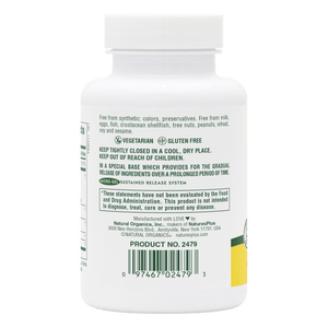 2479-03.png?v=1753121524&width=300