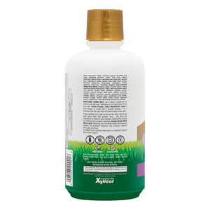Second side product image of Animal Parade® GOLD Multivitamin Children’s Liquid containing 30 FL OZ