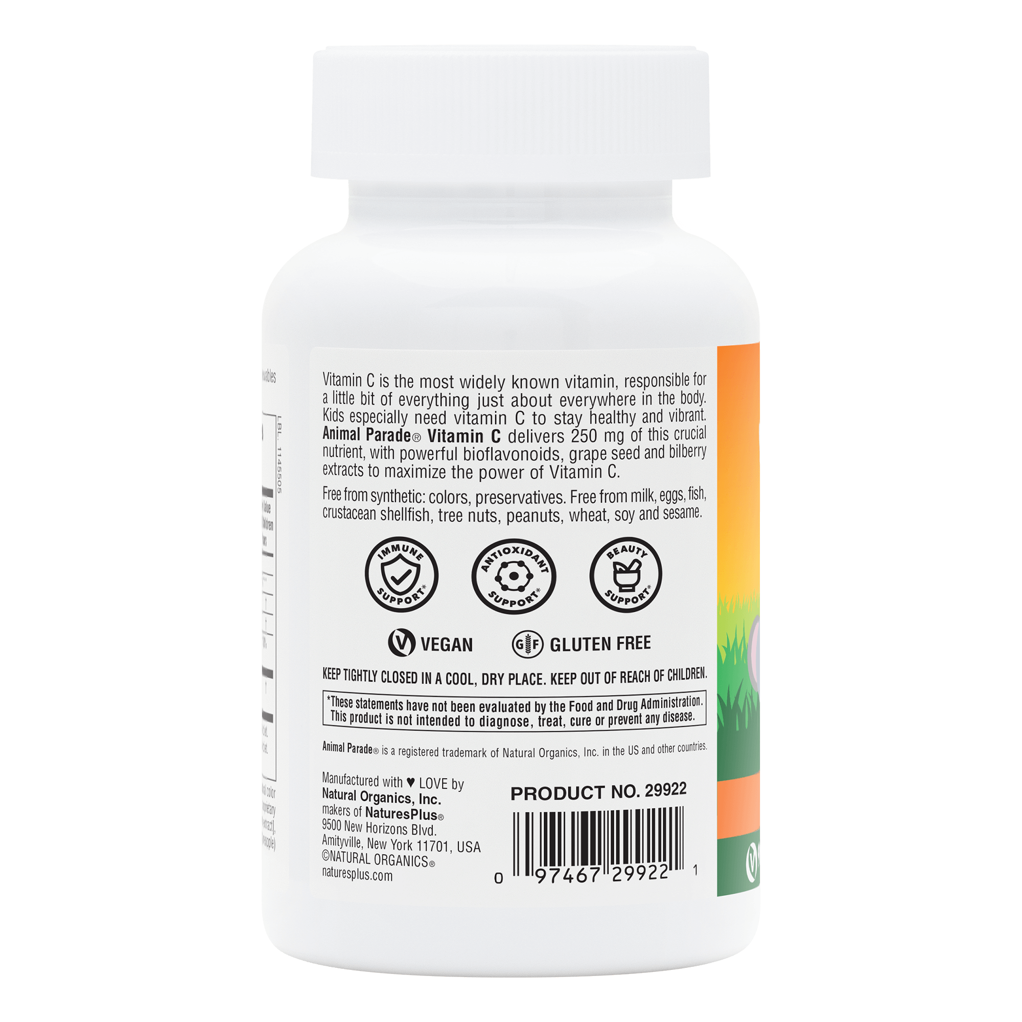 Animal Parade® Sugar-Free Vitamin C Children’s Chewables - 90 Count