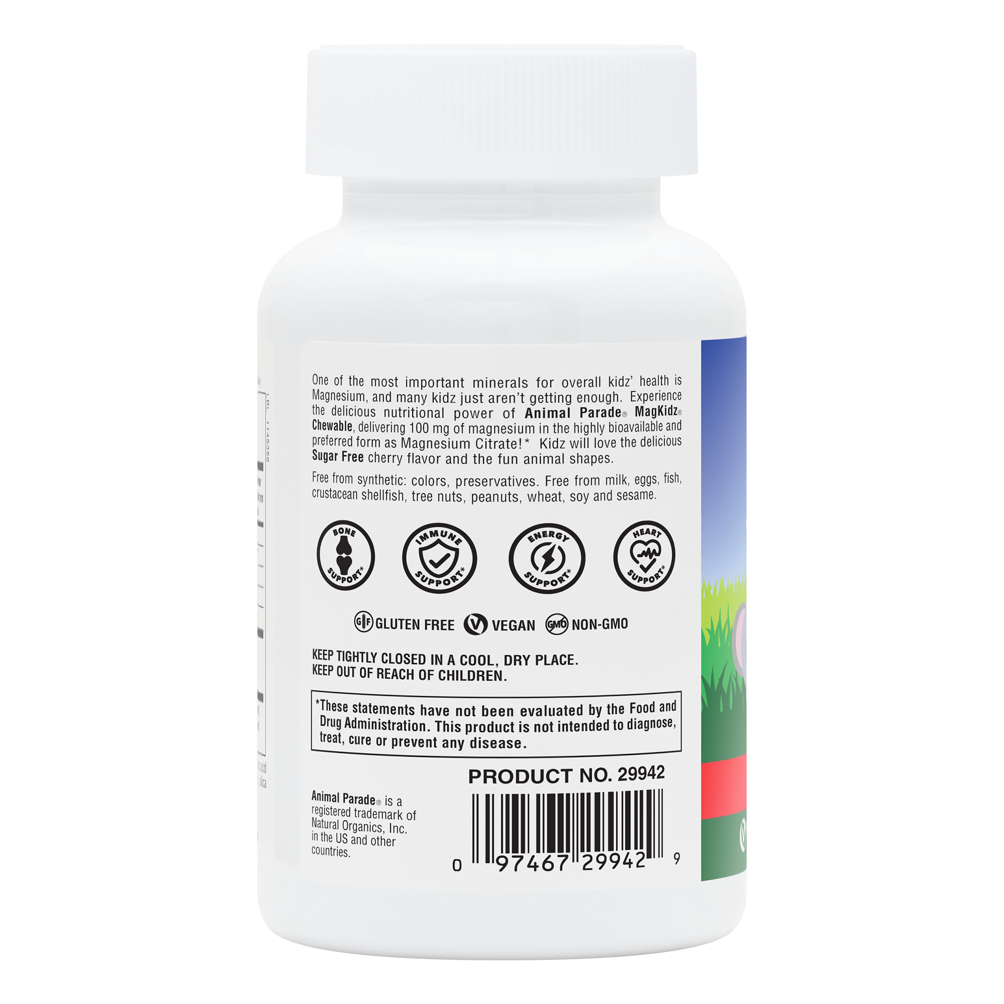Animal Parade® MagKidz™ Children's Chewables - 90 Count