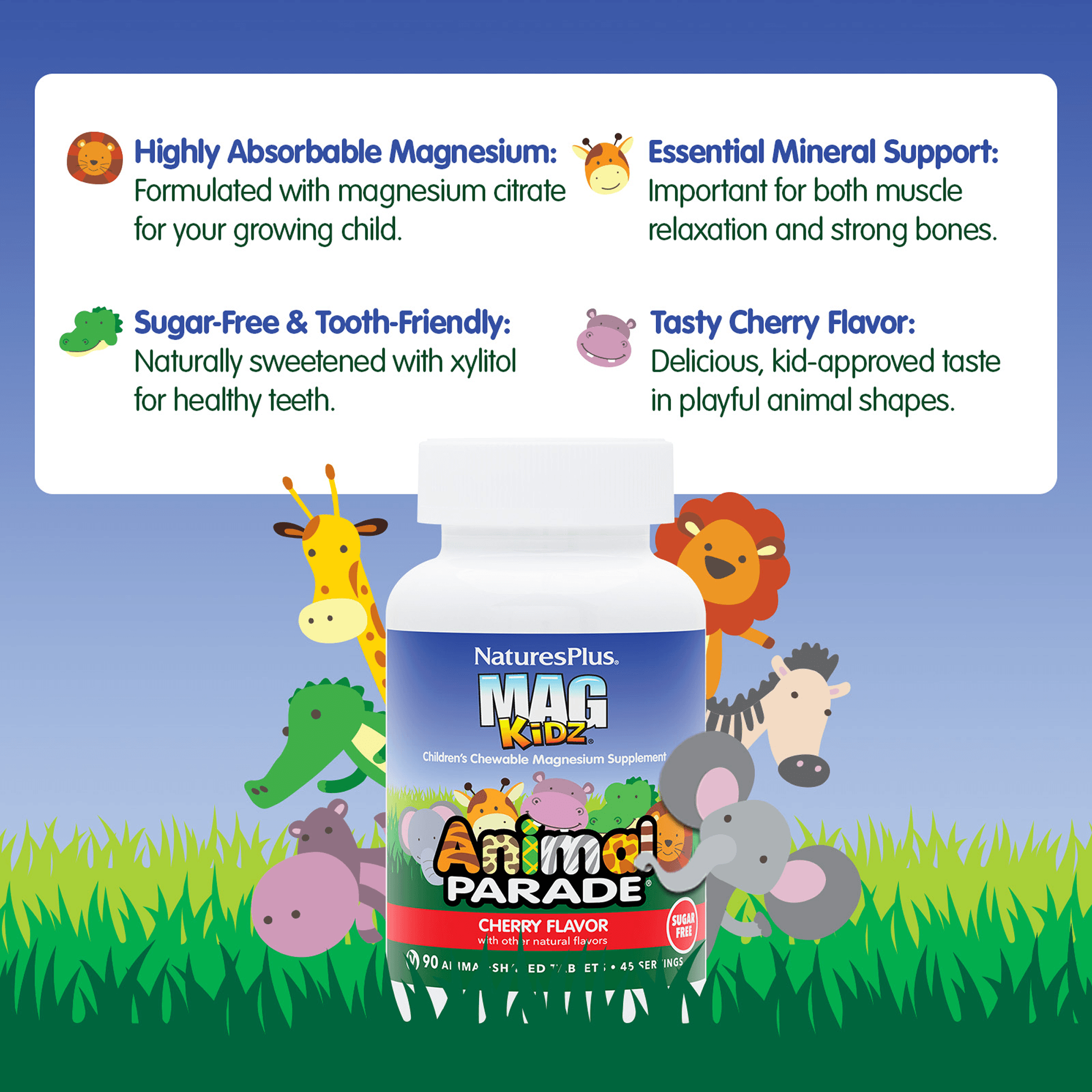 Animal Parade® MagKidz™ Children's Chewables - 90 Count