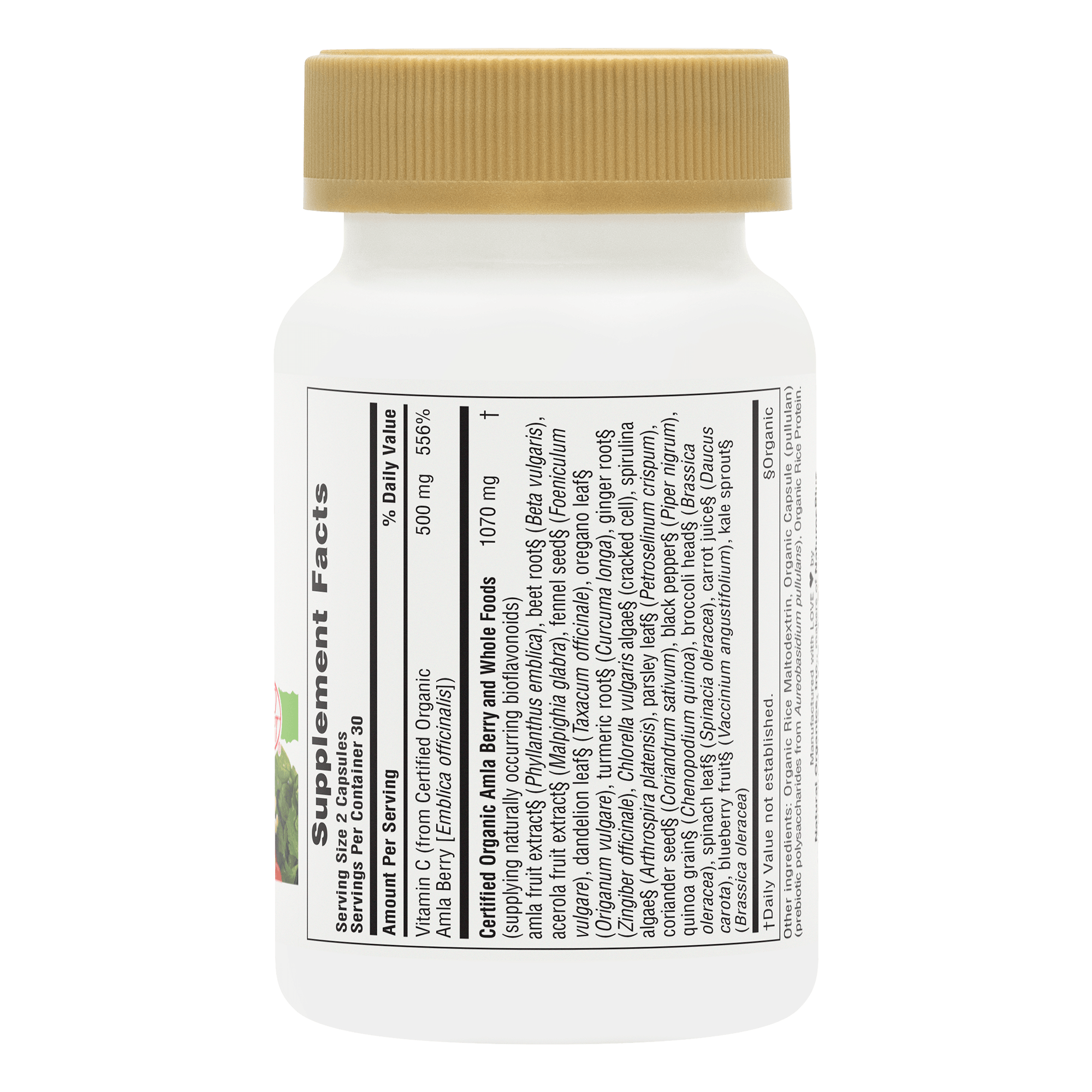 Source of Life® Garden Vitamin C 500 mg Capsules - 60 Count